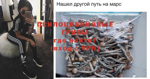 крисы Наволоки