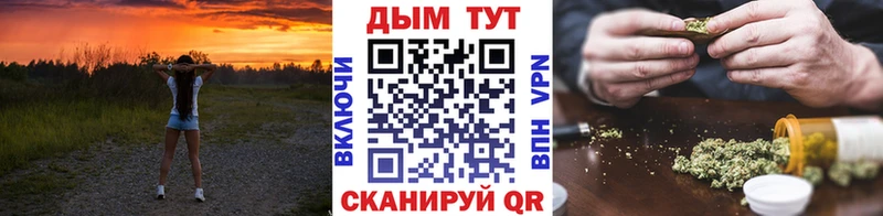 Конопля сатива Покровск